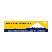 Texas Flowers logo